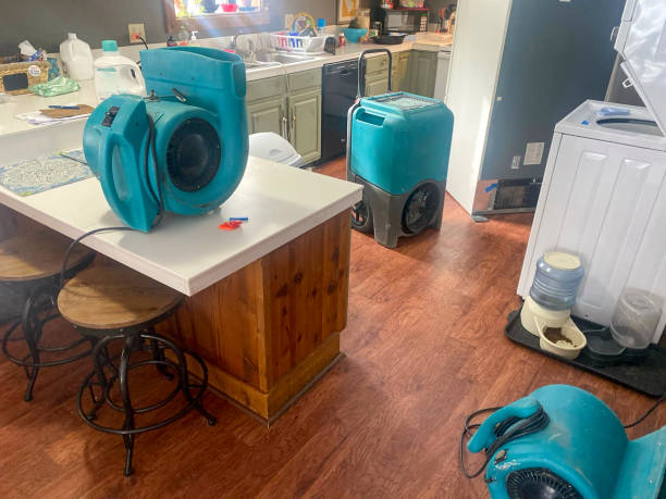 Best Carpet water damage restoration  in Mascotte, FL