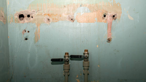 Best Flood damage cleanup  in Mascotte, FL