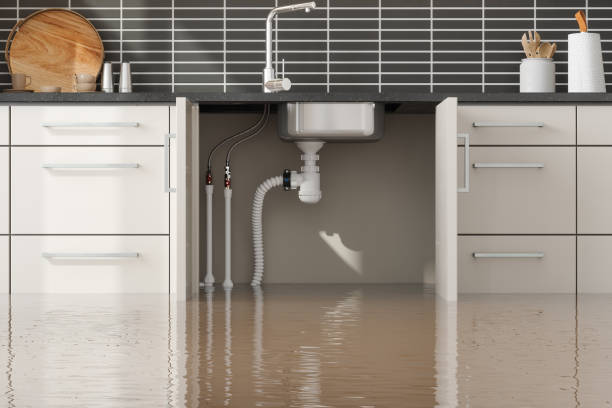 Best Carpet water damage restoration  in Mascotte, FL